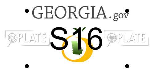 S16 Georgia License Plate