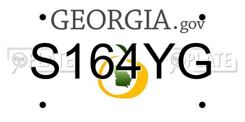 S164YG Georgia License Plate