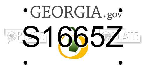 S1665Z Georgia License Plate