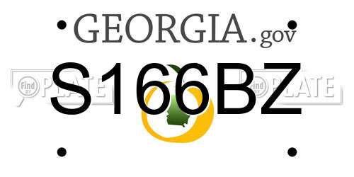 S166BZ Georgia License Plate