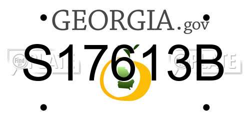 S17613B Georgia License Plate