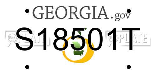 S18501T Georgia License Plate