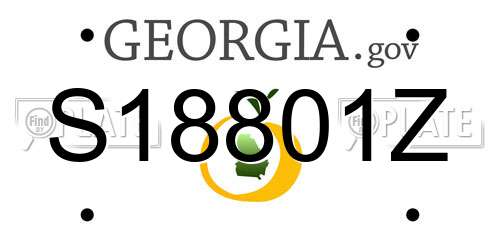 S18801Z Georgia License Plate