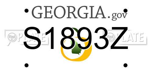 S1893Z Georgia License Plate