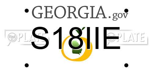 S18IIE Georgia License Plate