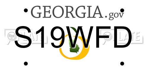 S19WFD Georgia License Plate