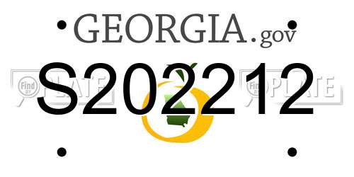 S202212 Georgia License Plate