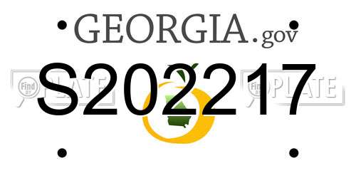 S202217 Georgia License Plate