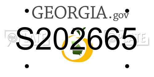 S202665 Georgia License Plate