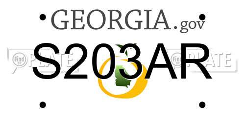 S203AR Georgia License Plate