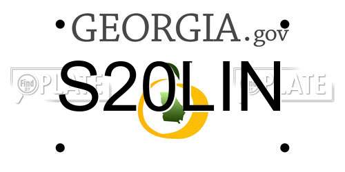 S20LIN Georgia License Plate