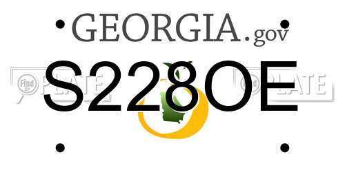 S228OE Georgia License Plate
