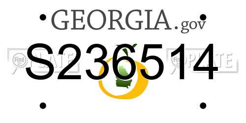 S236514 Georgia License Plate