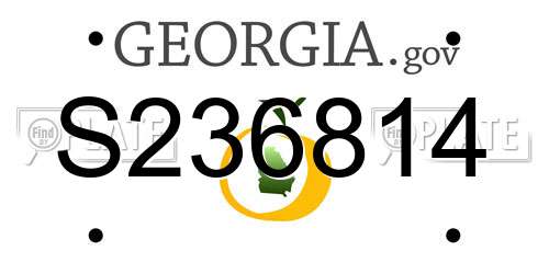 S236814 Georgia License Plate
