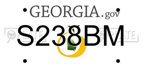 S238BM Georgia License Plate