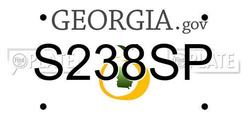 S238SP Georgia License Plate