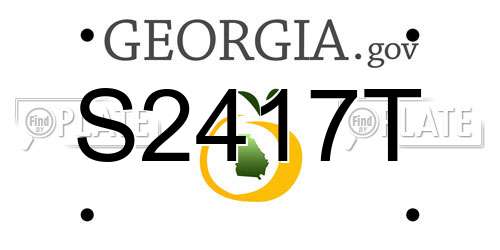 S2417T Georgia License Plate