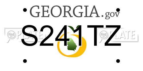 S241TZ Georgia License Plate