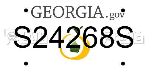 S24268S Georgia License Plate