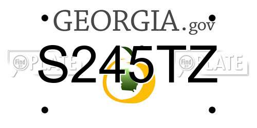S245TZ Georgia License Plate