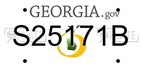 S25171B Georgia License Plate
