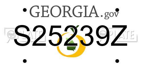 S25239Z Georgia License Plate
