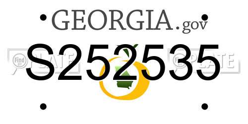S252535 Georgia License Plate