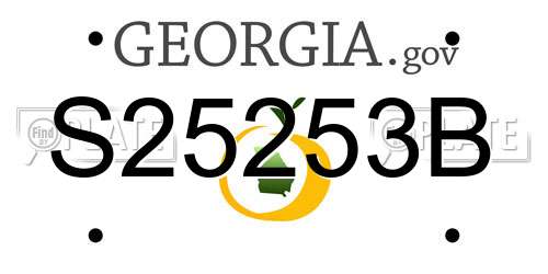 S25253B Georgia License Plate