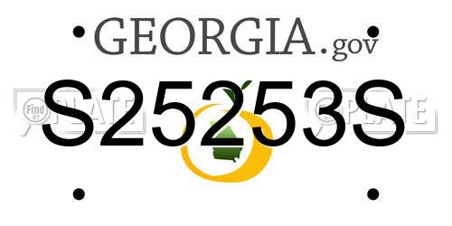 S25253S Georgia License Plate