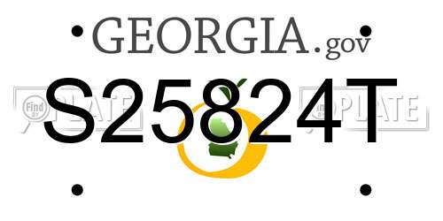 S25824T Georgia License Plate