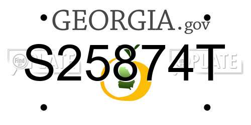 S25874T Georgia License Plate