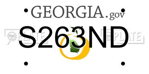 S263ND Georgia License Plate