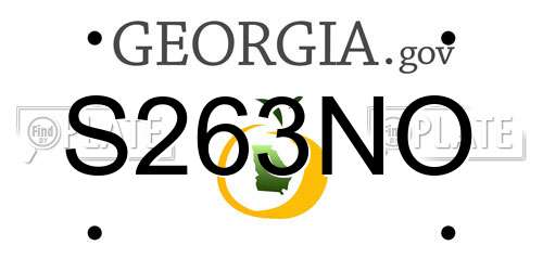 S263NO Georgia License Plate