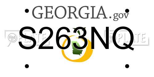 S263NQ Georgia License Plate