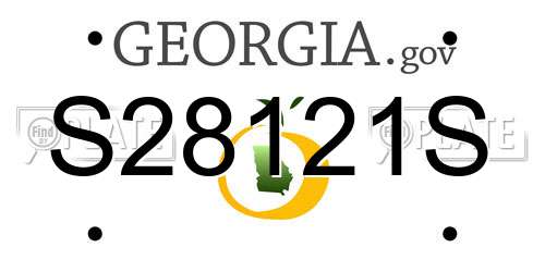 S28121S Georgia License Plate