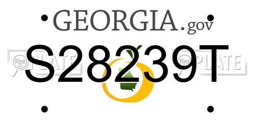 S28239T Georgia License Plate