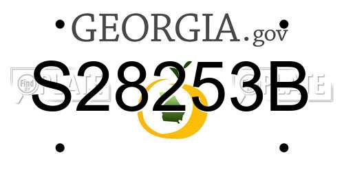 S28253B Georgia License Plate