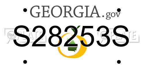 S28253S Georgia License Plate
