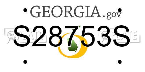 S28753S Georgia License Plate
