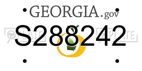 S288242 Georgia License Plate