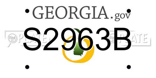 S2963B Georgia License Plate