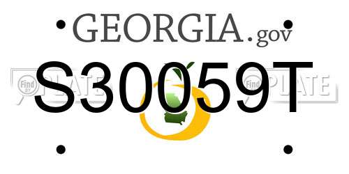 S30059T Georgia License Plate