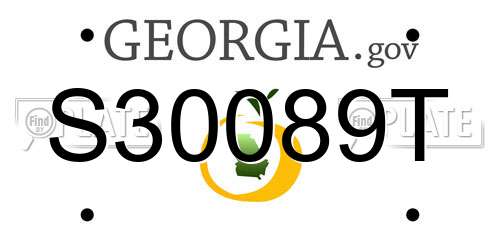 S30089T Georgia License Plate