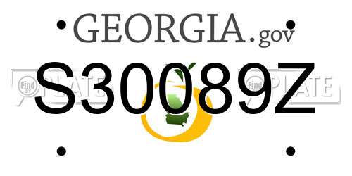 S30089Z Georgia License Plate