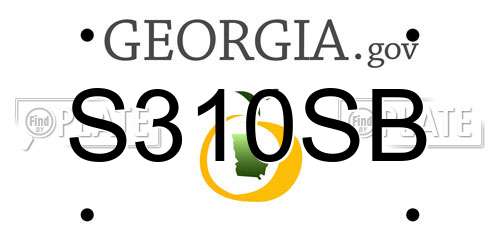 S310SB Georgia License Plate