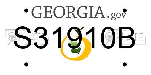 S31910B Georgia License Plate