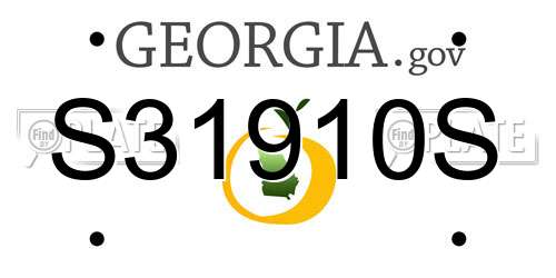 S31910S Georgia License Plate