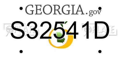 S32541D Georgia License Plate