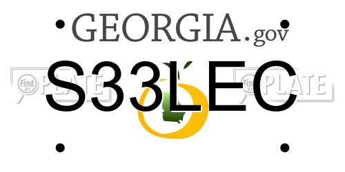 S33LEC Georgia License Plate