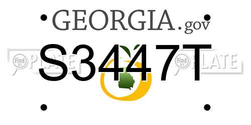 S3447T Georgia License Plate